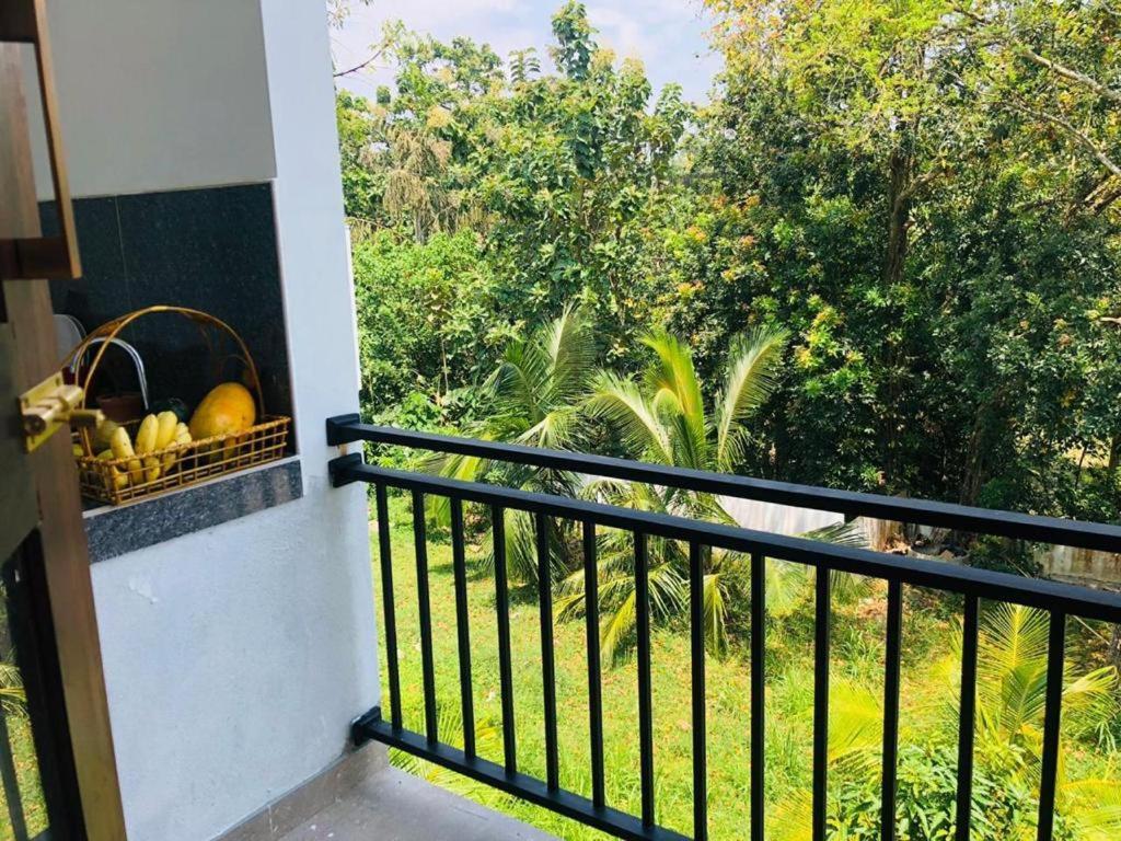 Finch Tangalle Kültér fotó