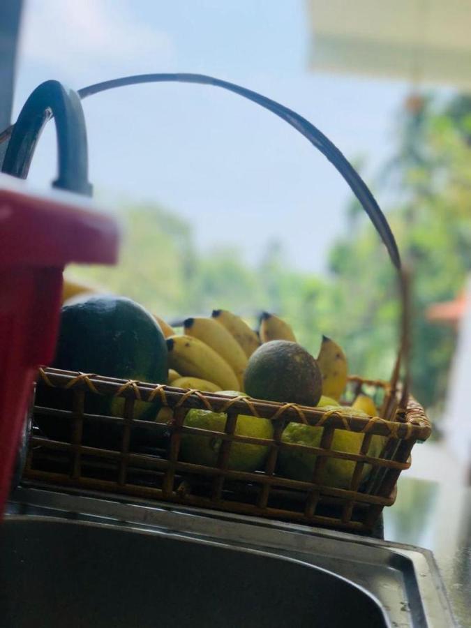 Finch Tangalle Kültér fotó