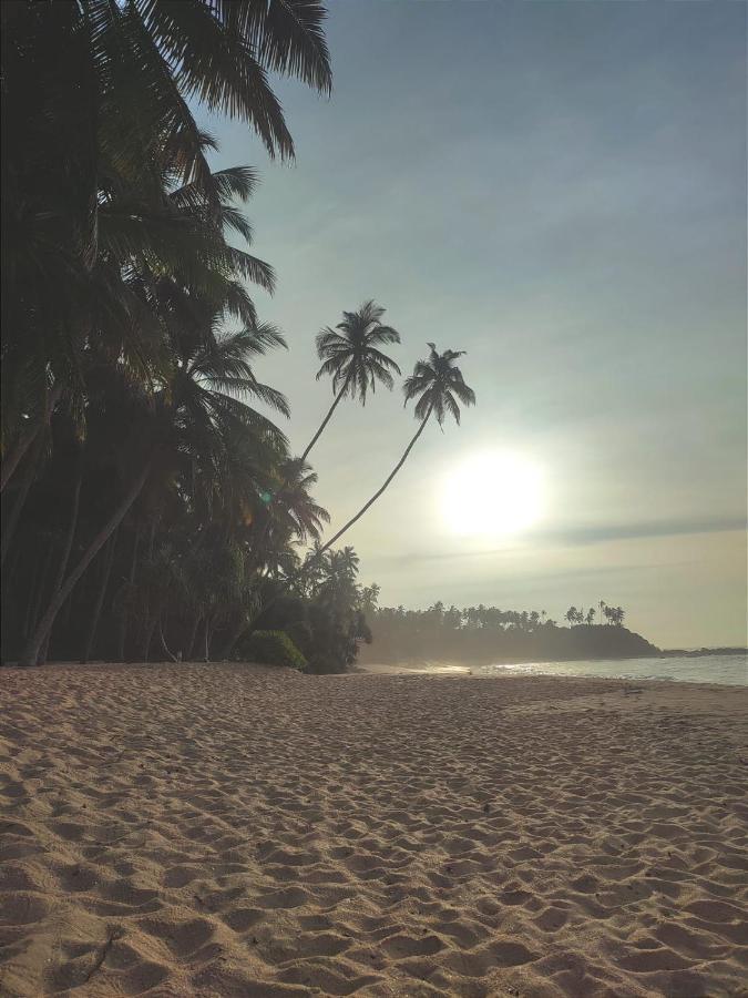 Finch Tangalle Kültér fotó