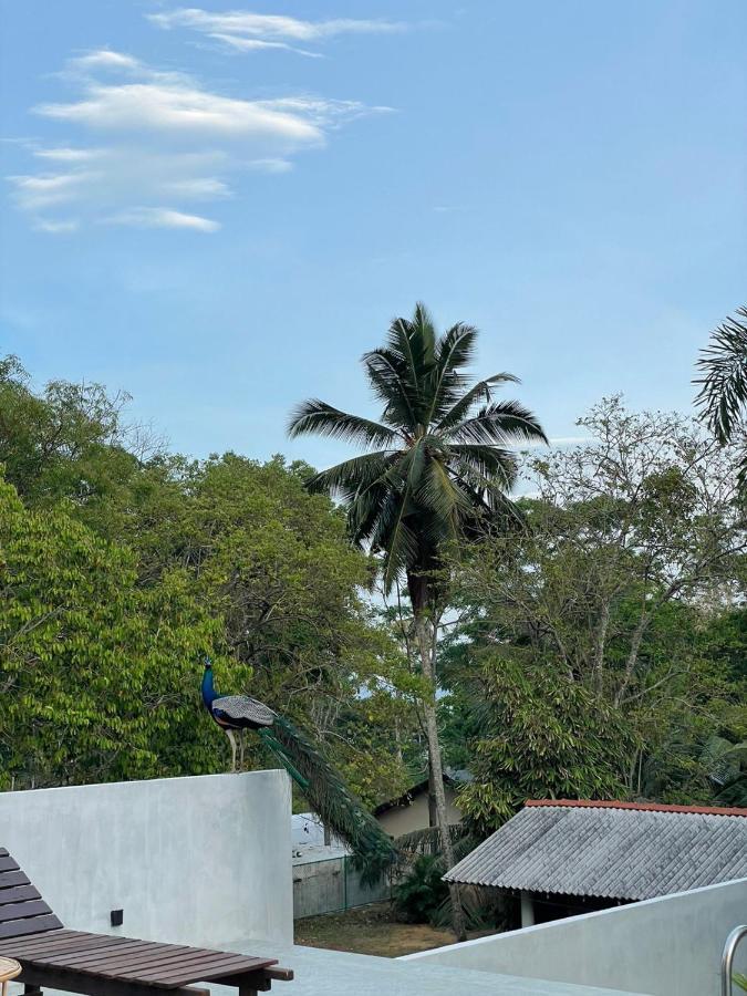 Finch Tangalle Kültér fotó