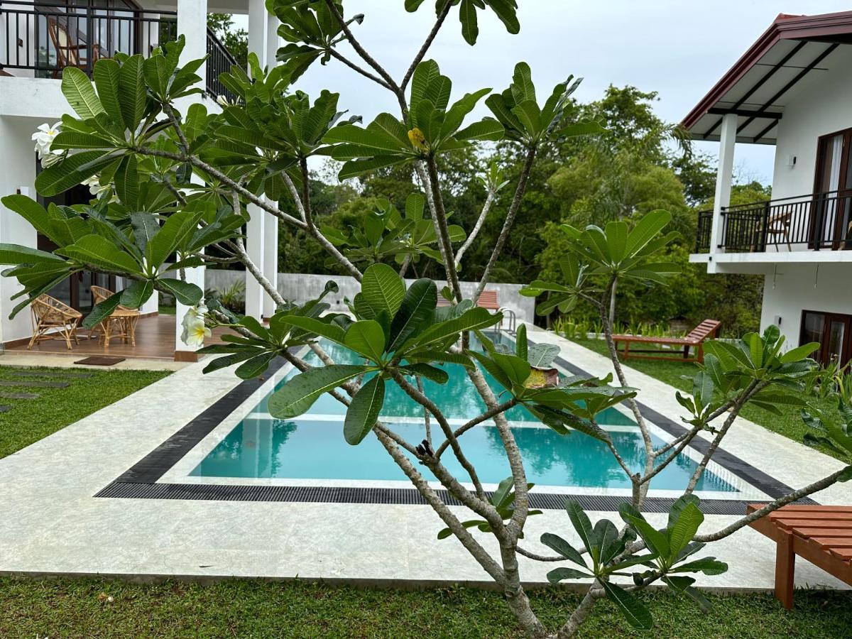 Finch Tangalle Kültér fotó