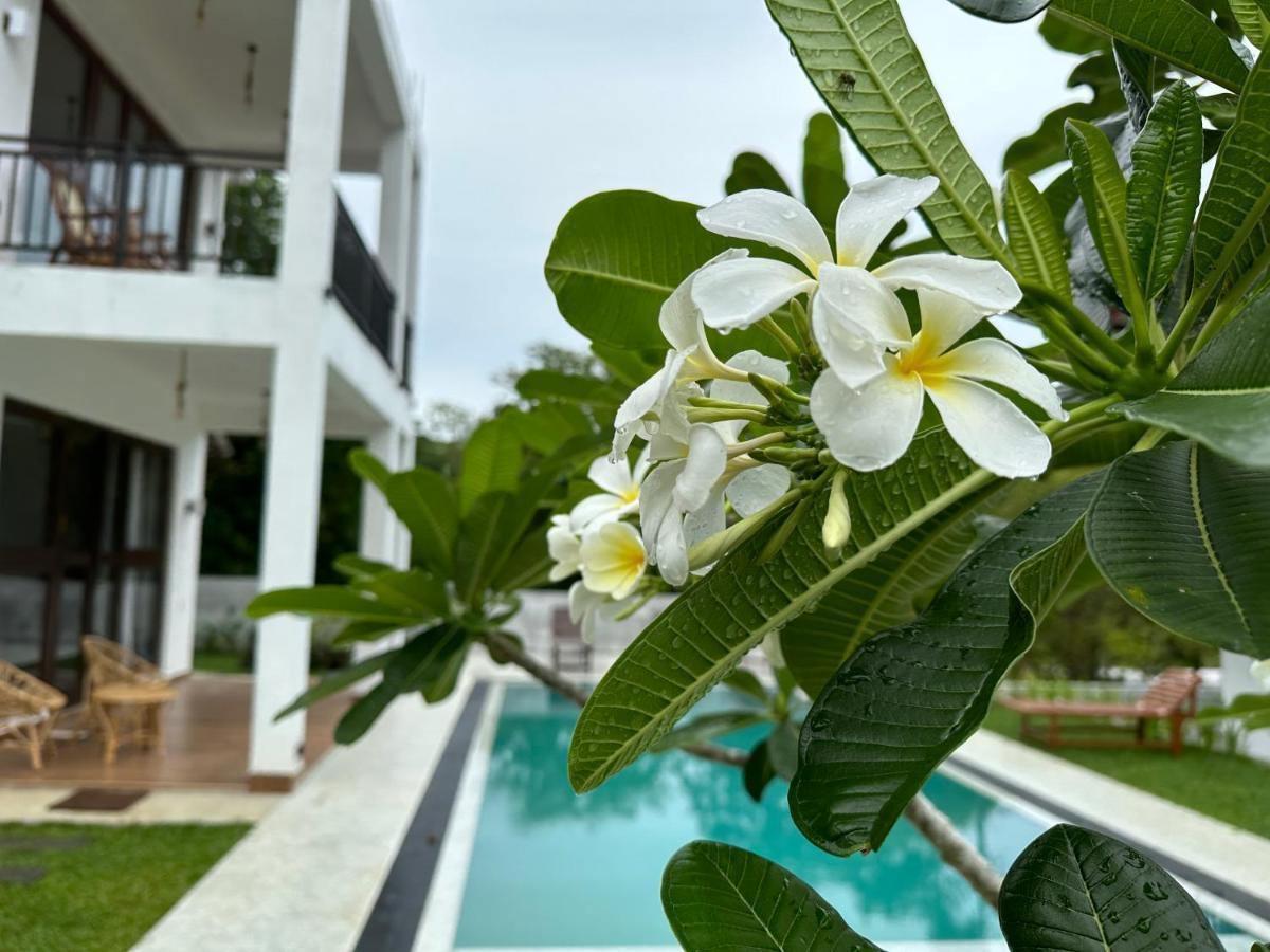 Finch Tangalle Kültér fotó