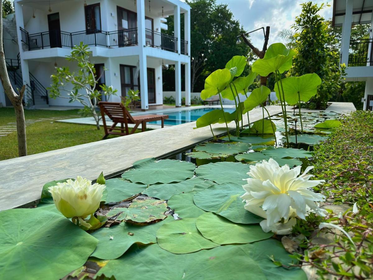 Finch Tangalle Kültér fotó