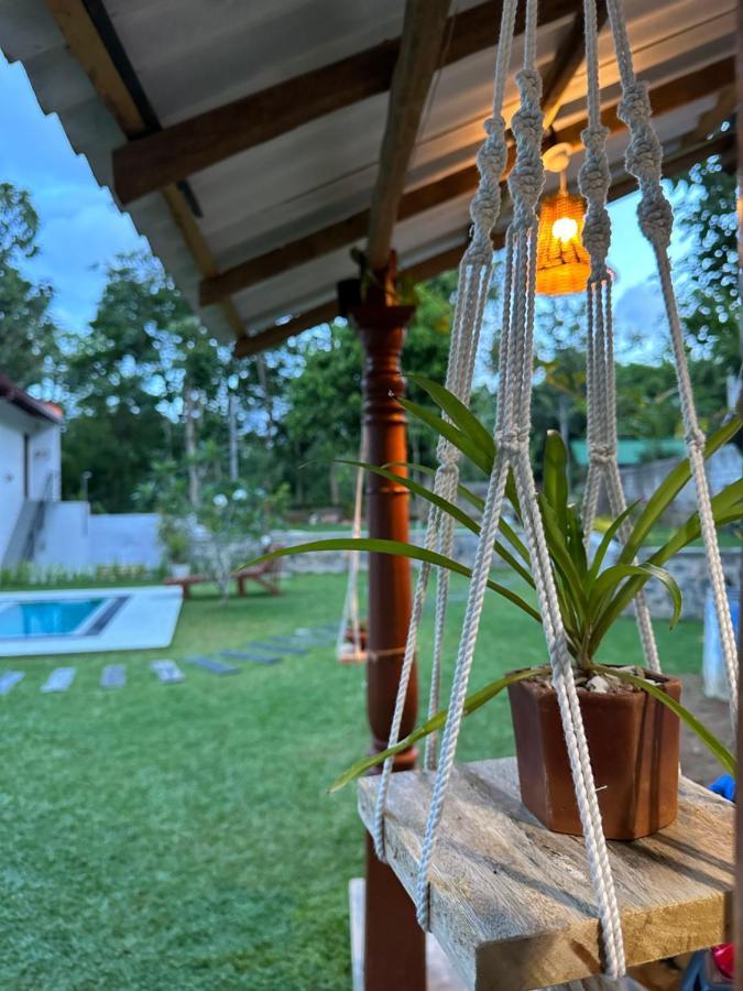 Finch Tangalle Kültér fotó