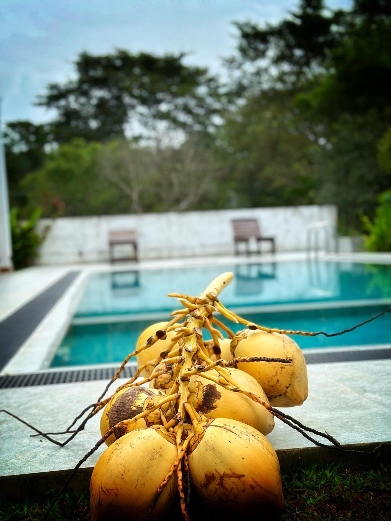 Finch Tangalle Kültér fotó