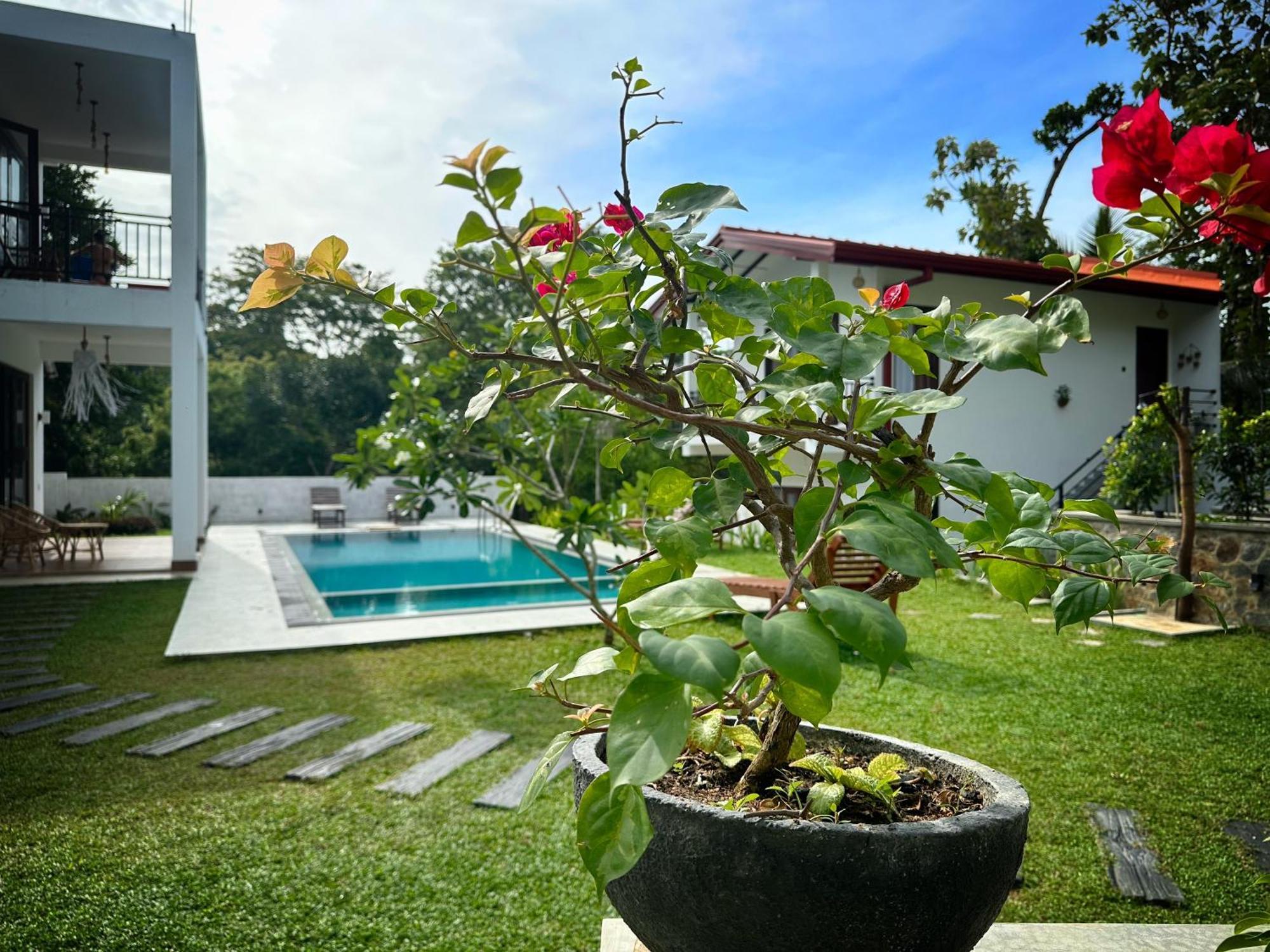 Finch Tangalle Kültér fotó